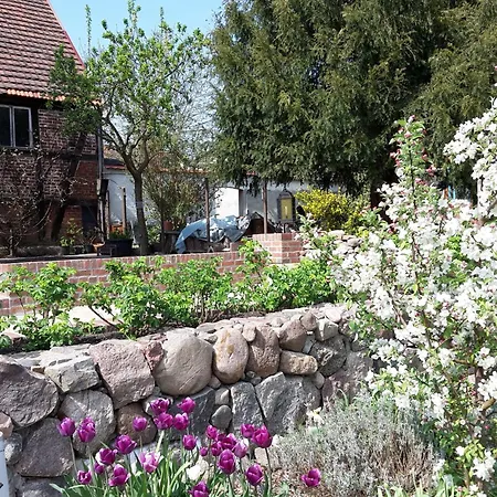 Steckelsdorf Апартаменты